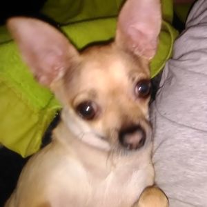 Meet your Posher, Debra